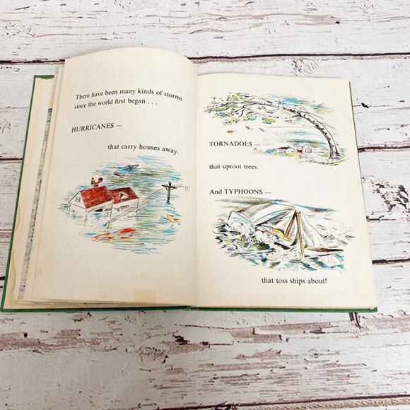 Vintage 1955 Noah’s Ark by Tony Palazzo Hardcover Children's Book - Picture 5 of 9